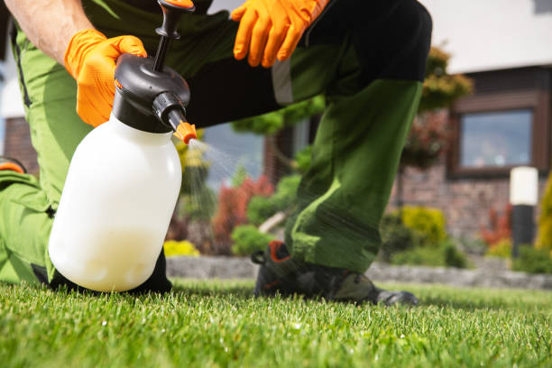 Best Bed Bug Extermination  in Steelville, MO