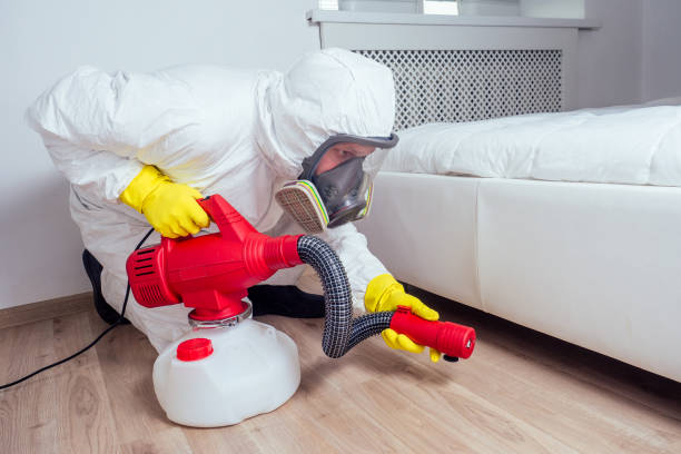 Best Pest Prevention Services  in Steelville, MO